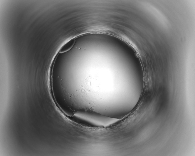 X0000096411103200801241216
