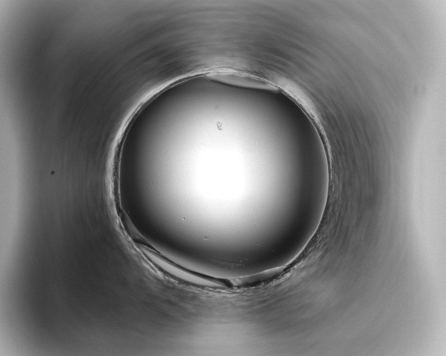 X0000096411104200801241216