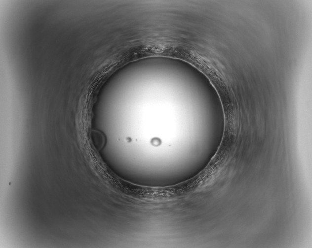 X0000096411105200801241215