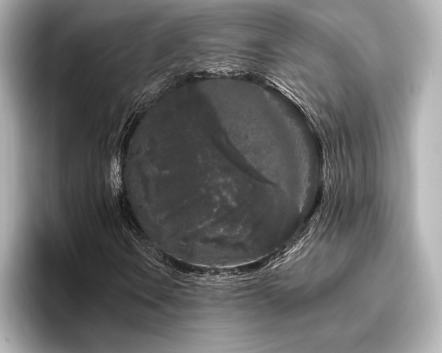 X0000096411106200801241215