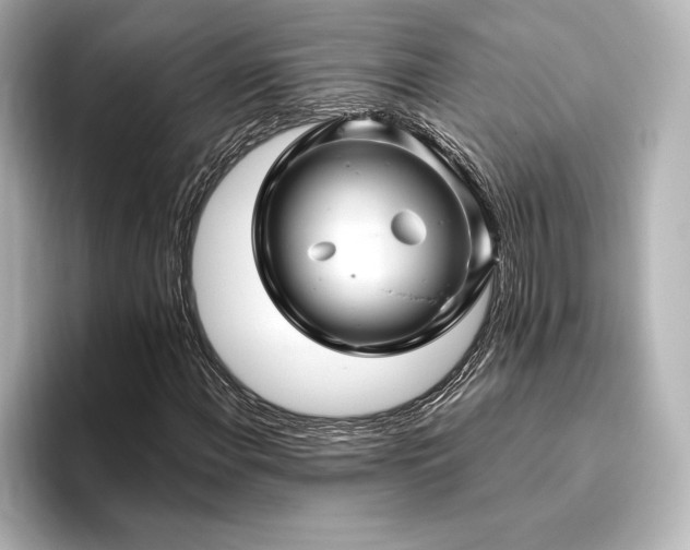 X0000096411108200801241215