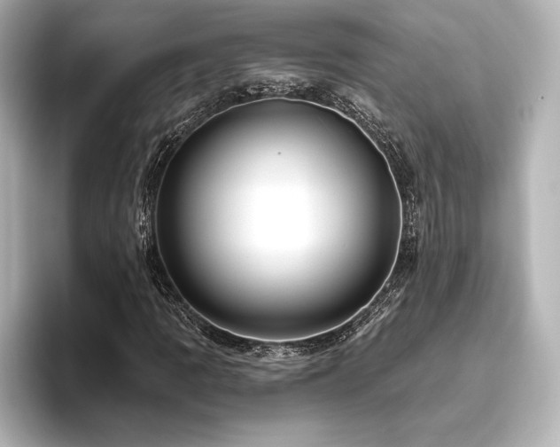 X0000096411109200801241215
