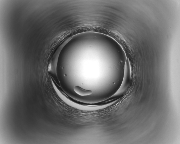 X0000096411110200801241215