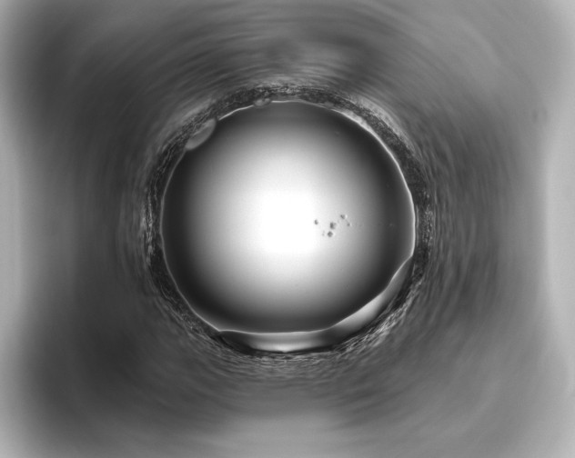 X0000096411111200801241215