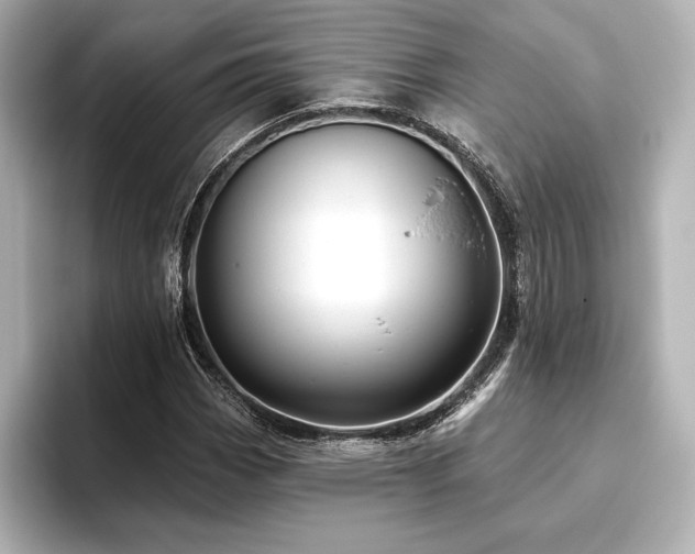 X0000096411113200801241215