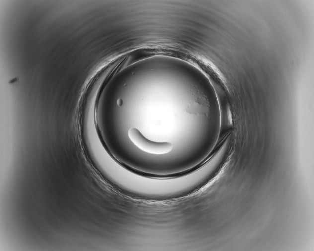 X0000096411114200801241215