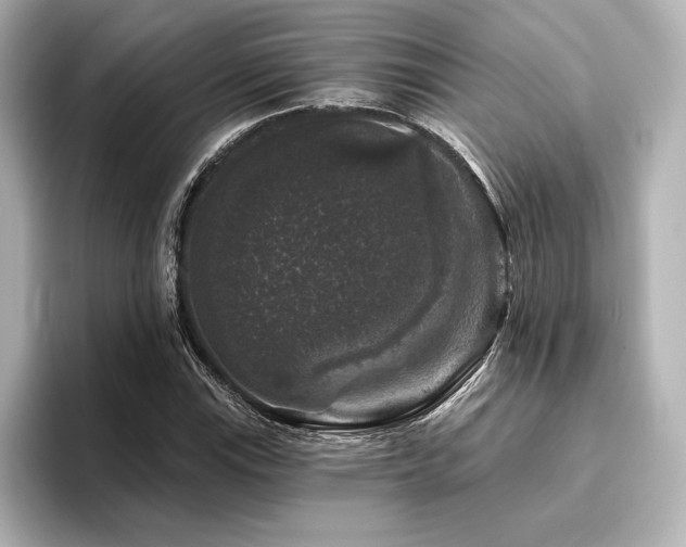 X0000096411115200801241215