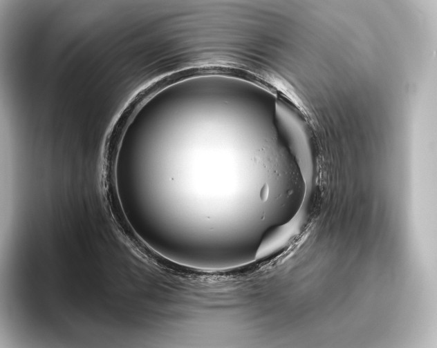 X0000096411116200801241215