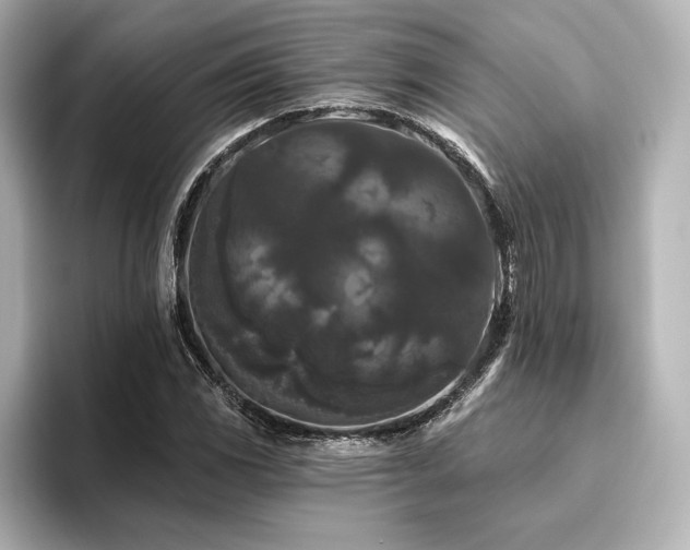 X0000096411117200801241215