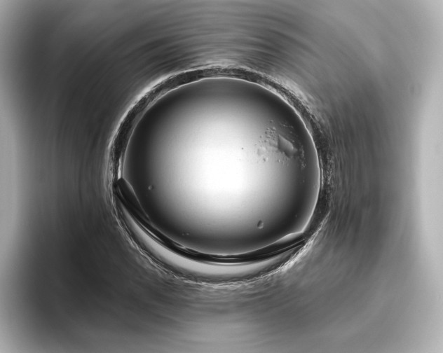 X0000096411118200801241215