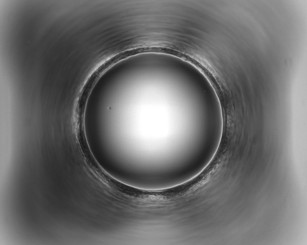 X0000096411119200801241215