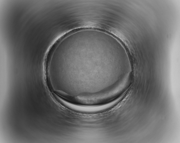 X0000096411120200801241215