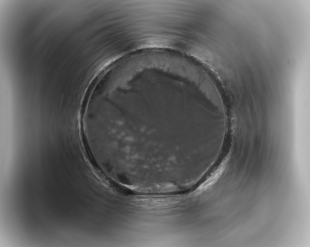X0000096411121200801241215