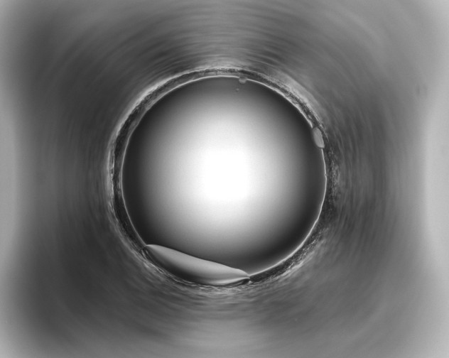 X0000096411124200801241215