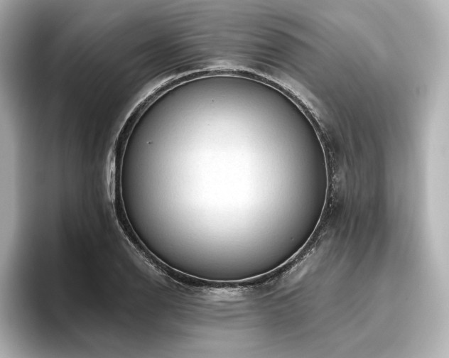 X0000096411126200801241215