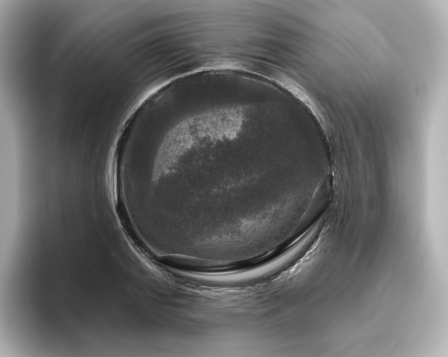 X0000096411127200801241215