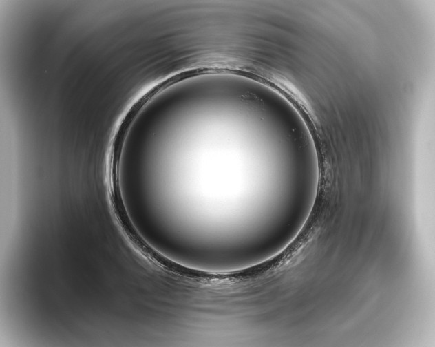 X0000096411128200801241215