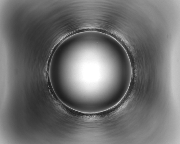 X0000096411129200801241215