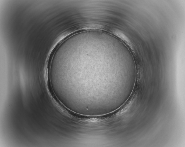 X0000096411130200801241215