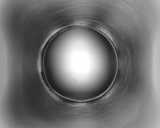 X0000096411131200801241215