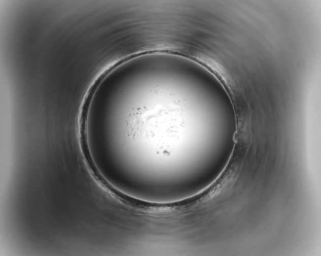X0000096411135200801241215