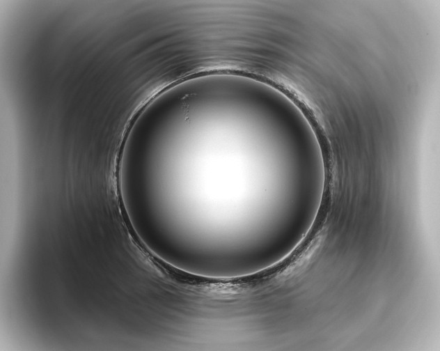 X0000096411137200801241215