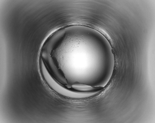 X0000096411138200801241215