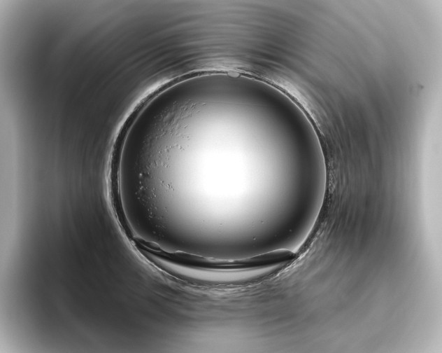 X0000096411139200801241215