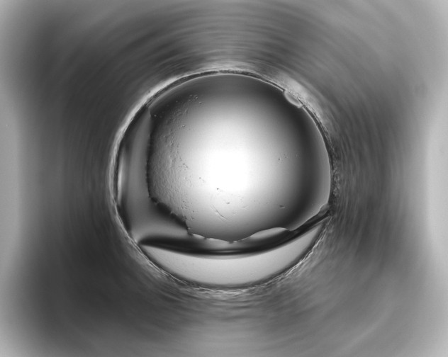 X0000096411140200801241215