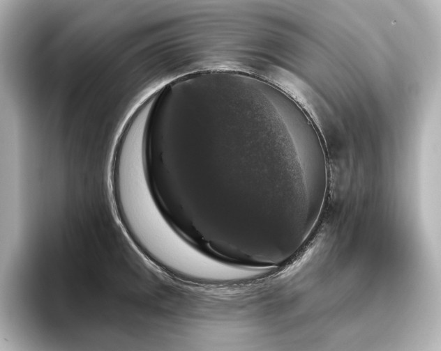 X0000096411141200801241215