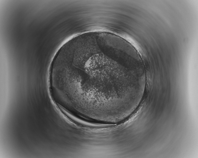 X0000096411142200801241215