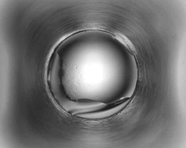 X0000096411144200801241215