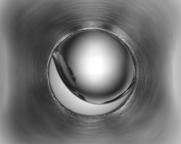 X0000096411145200801241215