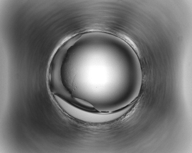 X0000096411146200801241215