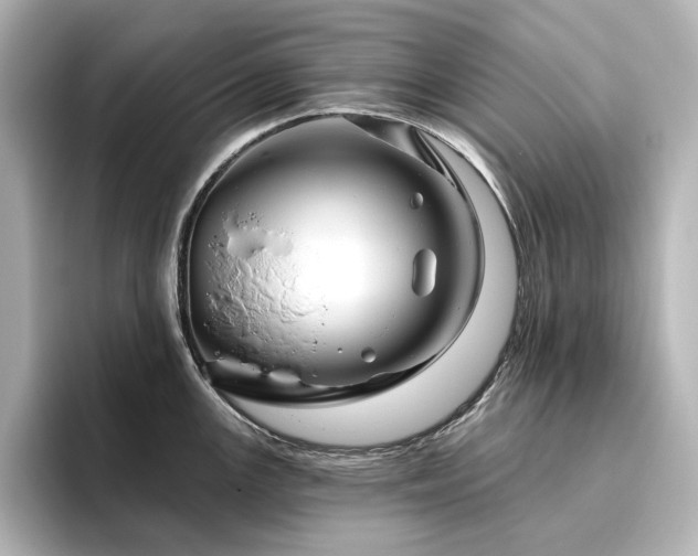 X0000096411147200801241215