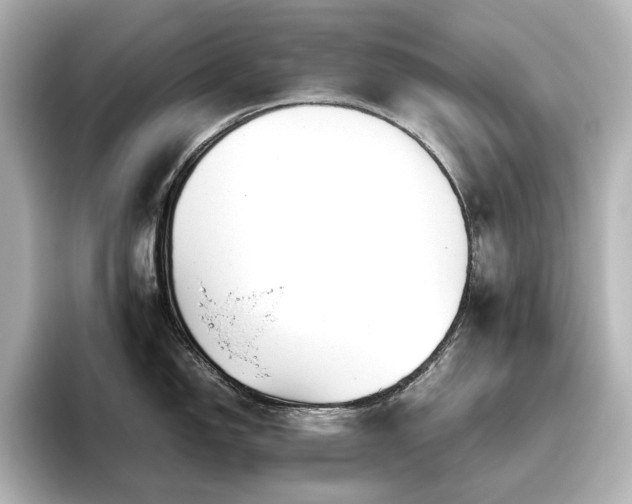 X0000096411150200801241215