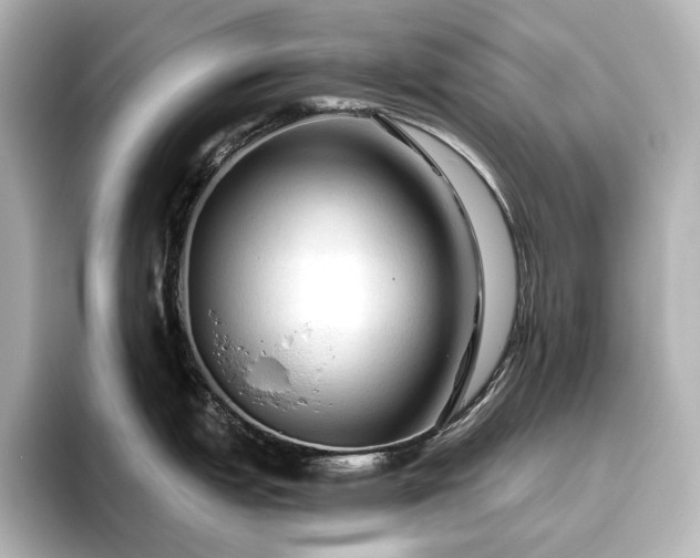 X0000096411151200801241215