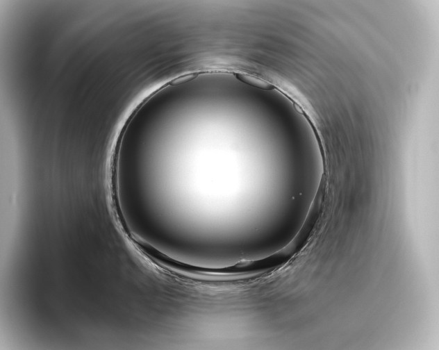 X0000096411152200801241216