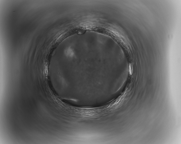 X0000096411155200801241215