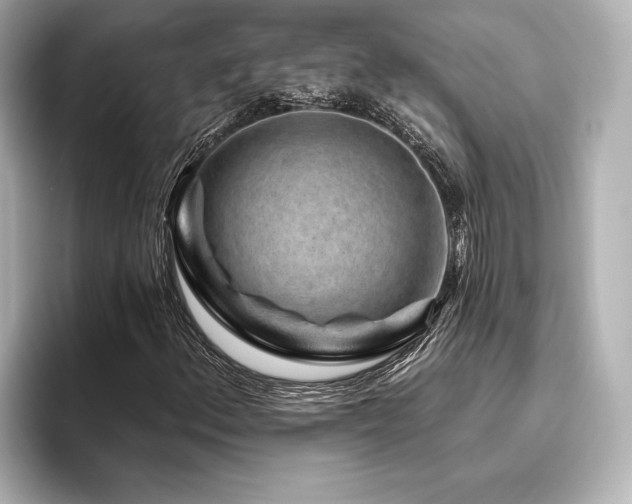 X0000096411156200801241215