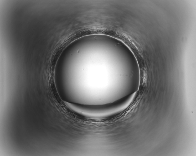 X0000096411157200801241215