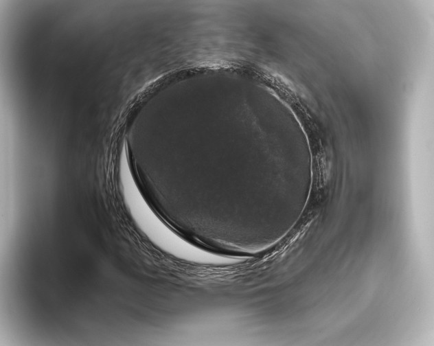 X0000096411158200801241215