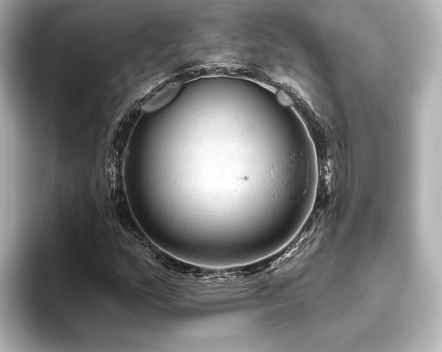 X0000096411159200801241215
