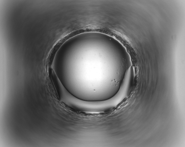 X0000096411160200801241215