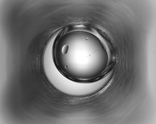 X0000096411161200801241215
