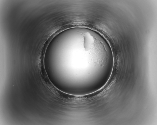 X0000096411162200801241215