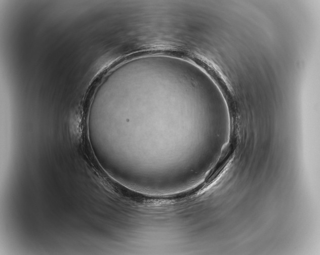 X0000096411163200801241215