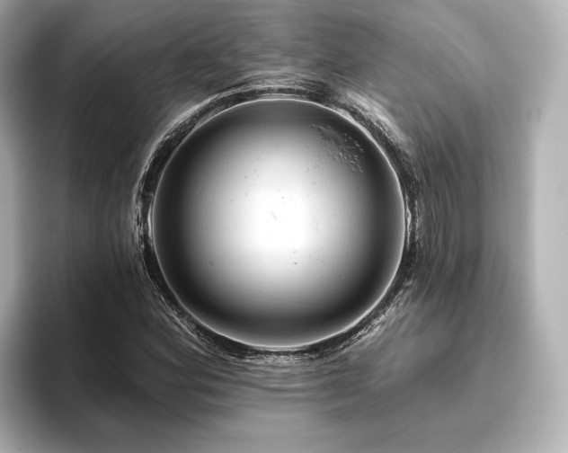 X0000096411164200801241215