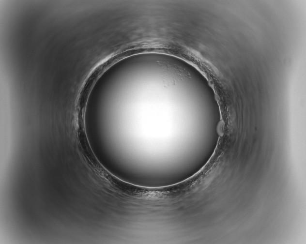 X0000096411166200801241215