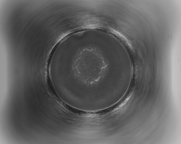 X0000096411170200801241215